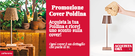 Cover Poldina